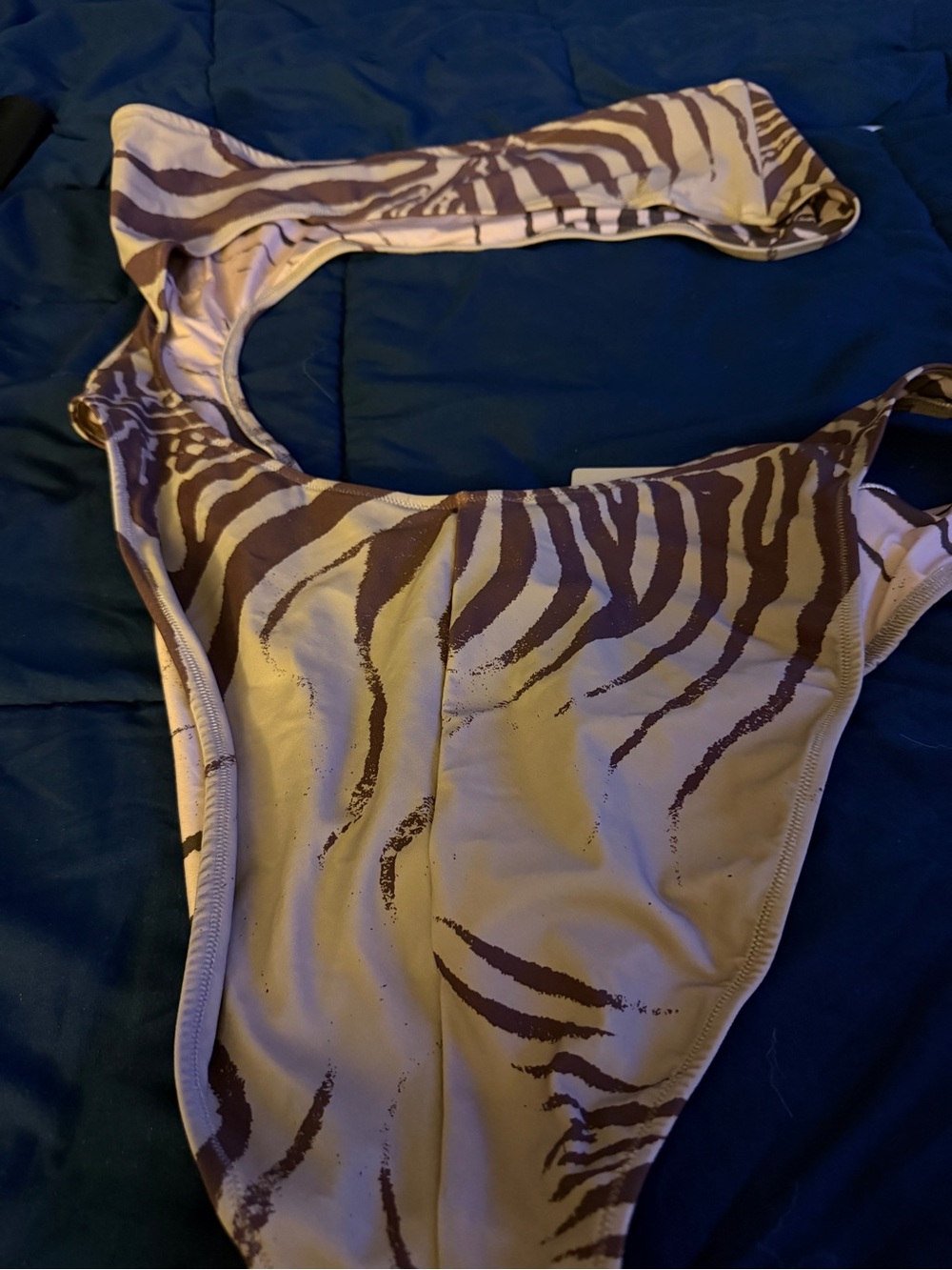 Roberto Cavalli and Skims